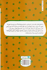 گربه بودن